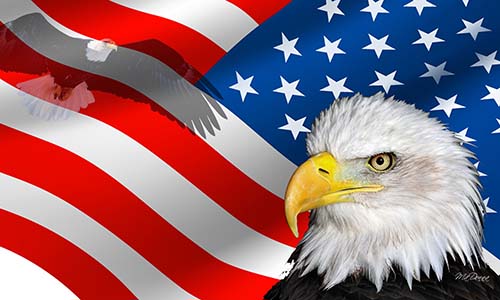 美國關(guān)稅低申報(bào)會(huì)提高查驗(yàn)的幾率