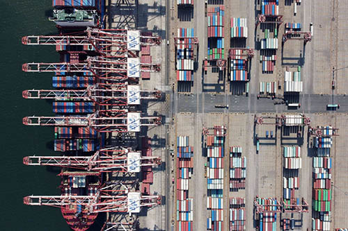 沒能及時提柜的原因