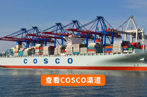 cosco海運渠道