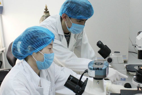 報(bào)關(guān)、報(bào)檢、檢驗(yàn)檢疫、商檢、查驗(yàn)之間的區(qū)別